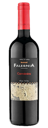 VF04 - Carmenere Reserva 